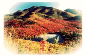 Leaf Peeping in the High Peaks