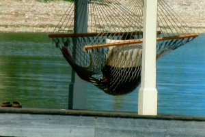 Rosslyn Hammock, Indian Summer (Photo by Eve Ticknor)