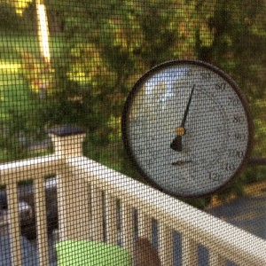 Early Autumn? The thermometer outside my bedroom verifies the chilly story...