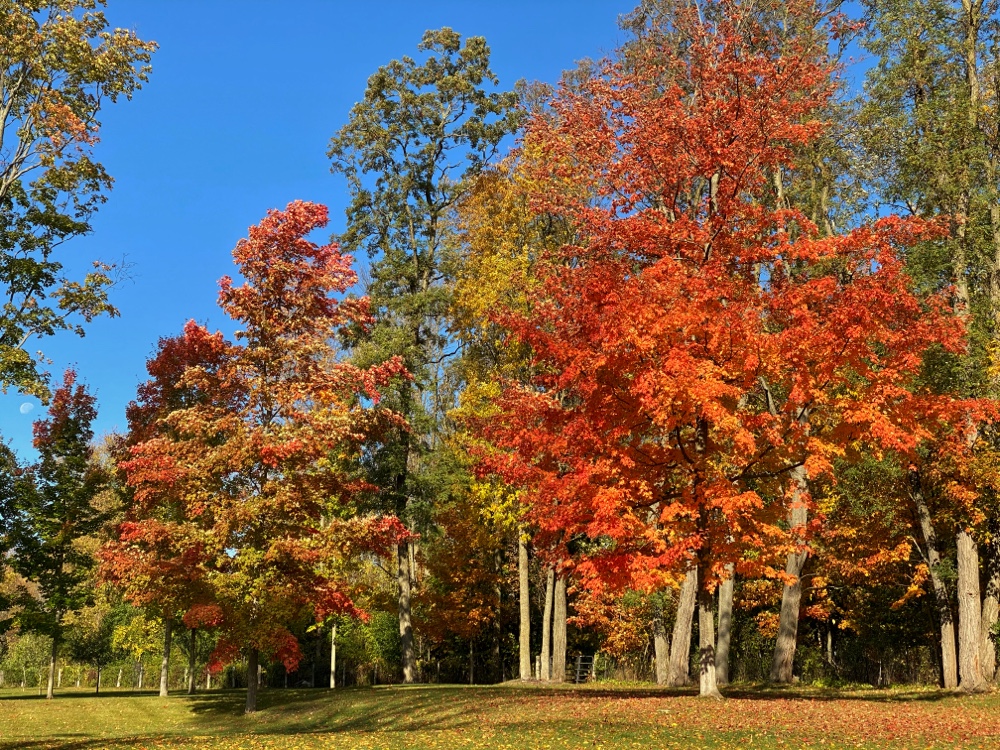 Seasonality: Autumn