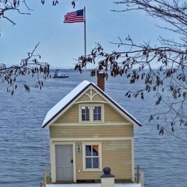 Frosty Ferrying (Source: Geo Davis)